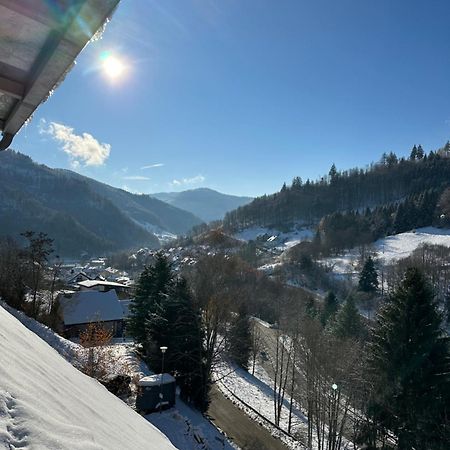 Bollenlodge - Ferienwohnung Mit Ausblick Und Top Lage Тодтнау Екстер'єр фото
