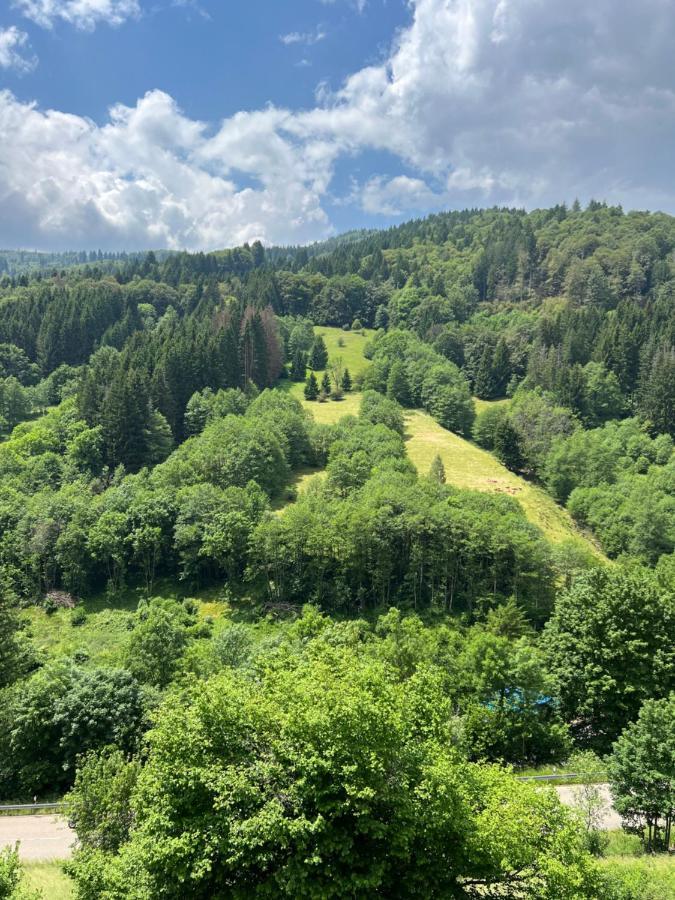 Bollenlodge - Ferienwohnung Mit Ausblick Und Top Lage Тодтнау Екстер'єр фото