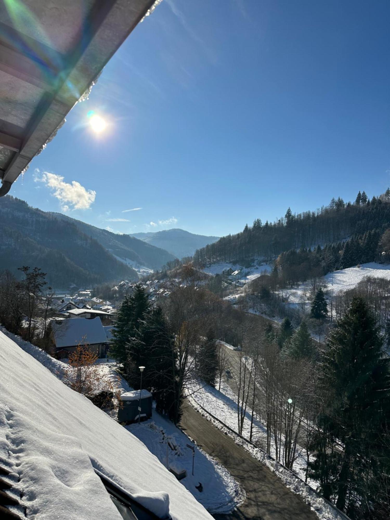 Bollenlodge - Ferienwohnung Mit Ausblick Und Top Lage Тодтнау Екстер'єр фото